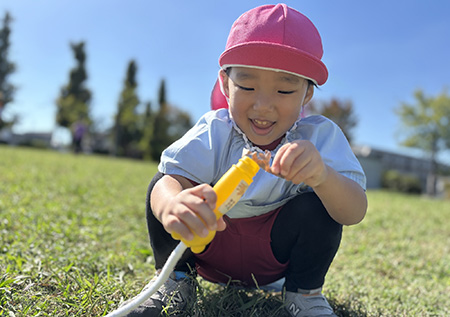 きっずあいりす